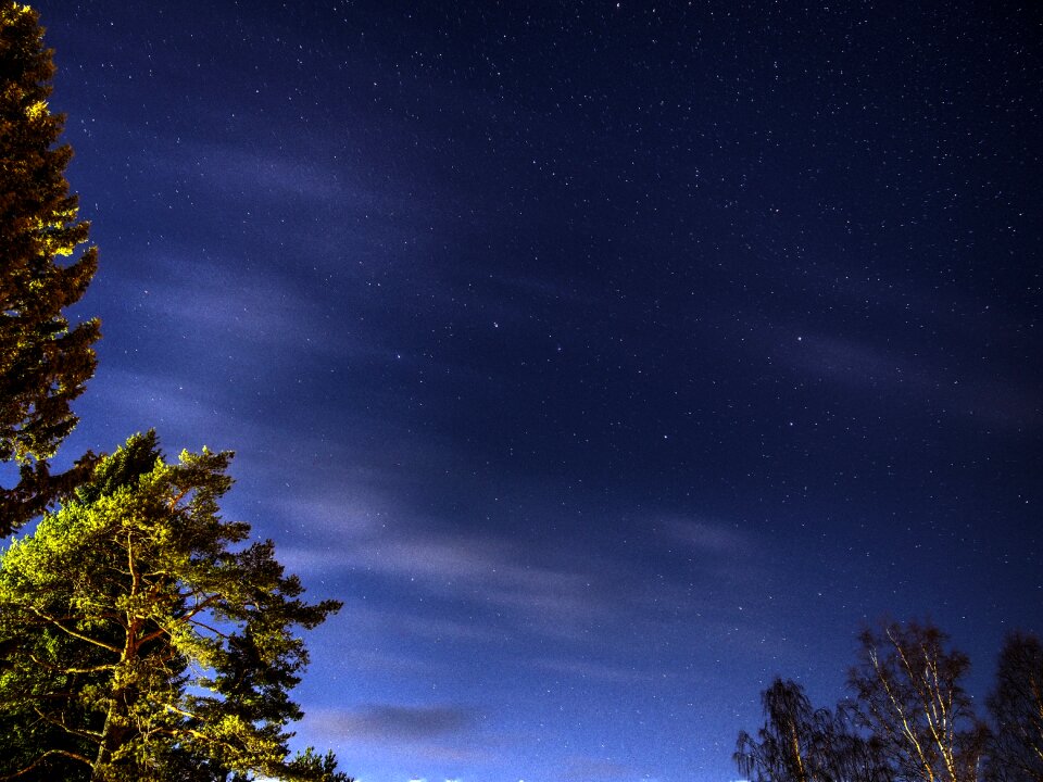 Space constellation forest
