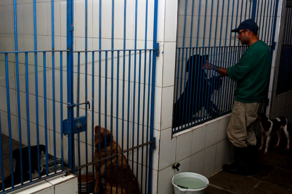 01.10.2018 - SMS - Especial Dia dos Animais - Foto Marcel Avila