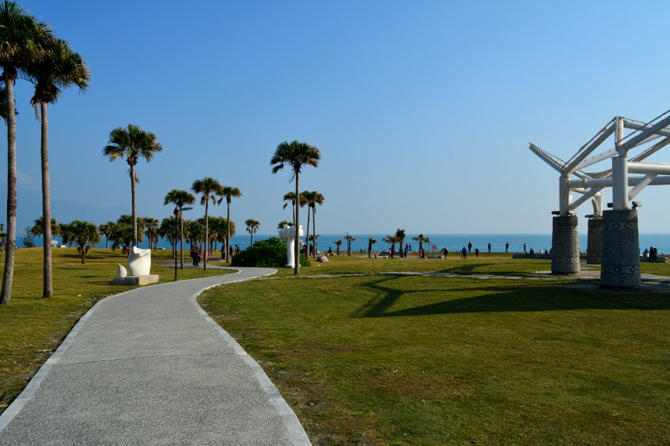 DSC 3080