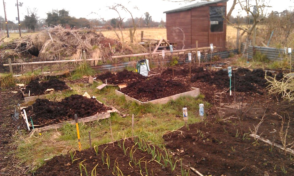 Spuds planted at last! photo