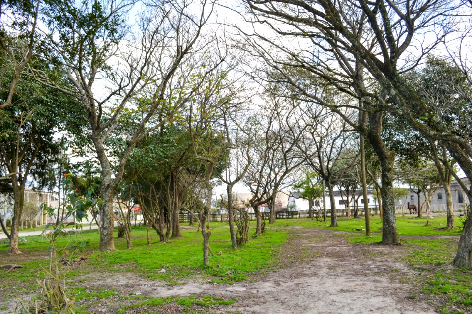 29.08.2018 - Revitalização da praça Py Crespo - Foto Michel Corvello