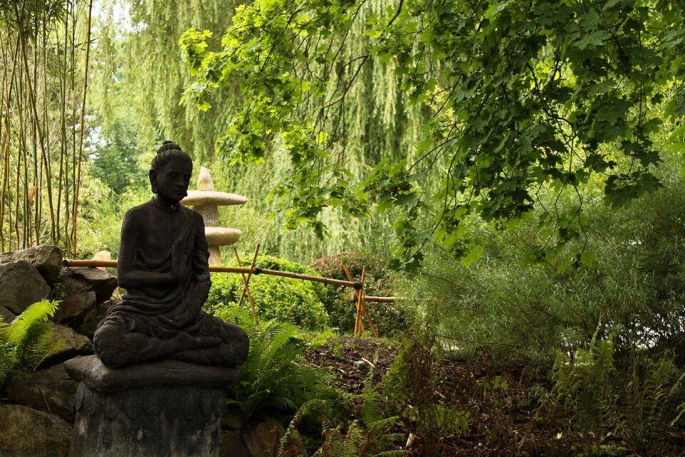 Zen garden buddha