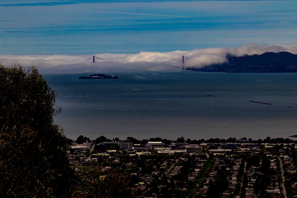 Golden Gate Bridge in Fog, from Berkeley Hills
