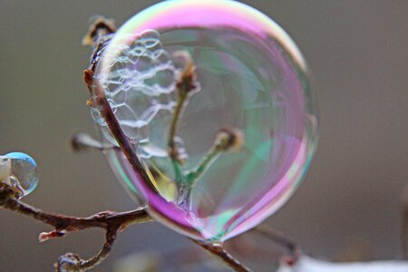 Purple background soap bubbles photo
