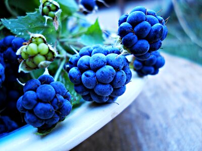Green berries vitamins