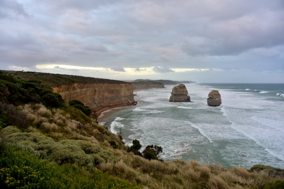 DSC 1155