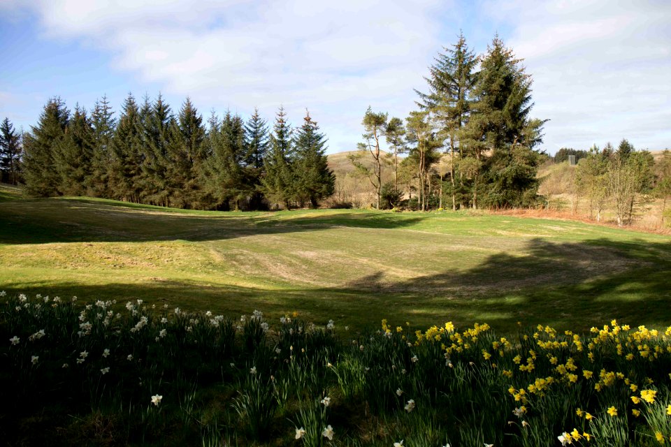 Eastwood Golf Club - IMG 2312
