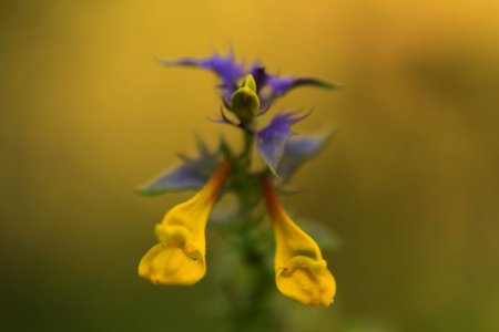 macro exercises