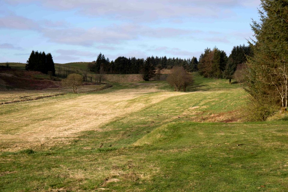 Eastwood Golf Club - IMG 2297