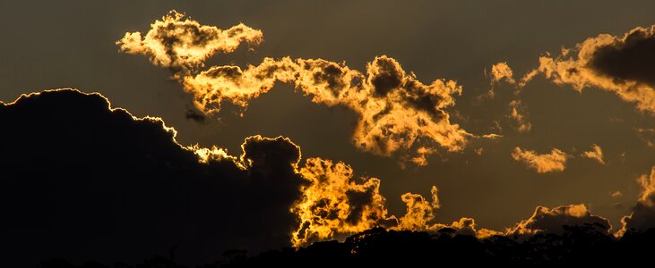 Sun rays golden australia photo