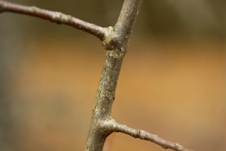 macro exercises