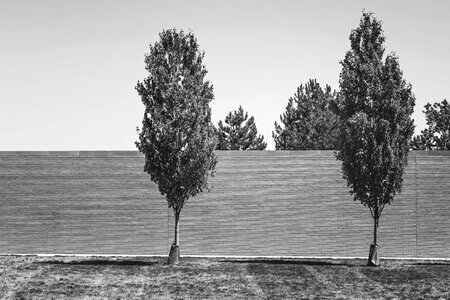 Fence black and white wood