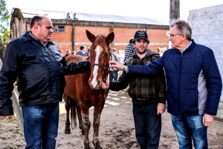 31.07.2018 Entrega de cavalos para adoção - Fotos Gustavo Mansur
