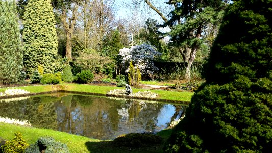 Arboretum Trompenburg photo