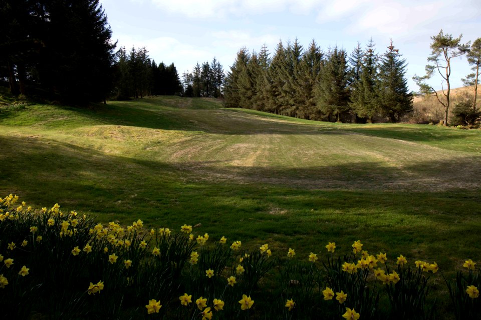 Eastwood Golf Club - IMG 2314