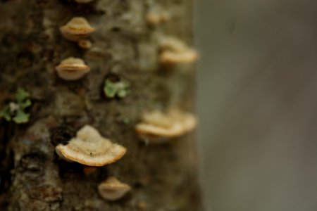 IMG 0838