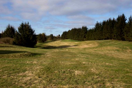 Eastwood Golf Club - IMG 2284