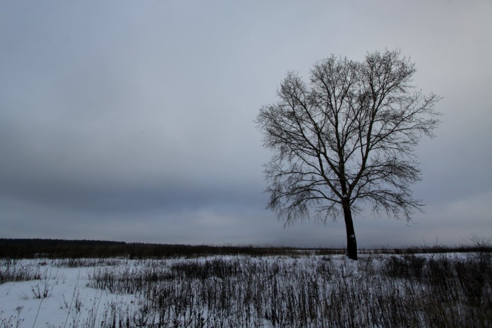 gloomy day landscape