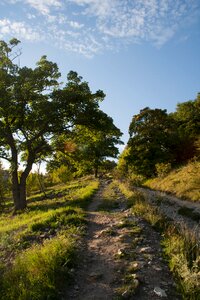 Nature magic moravia