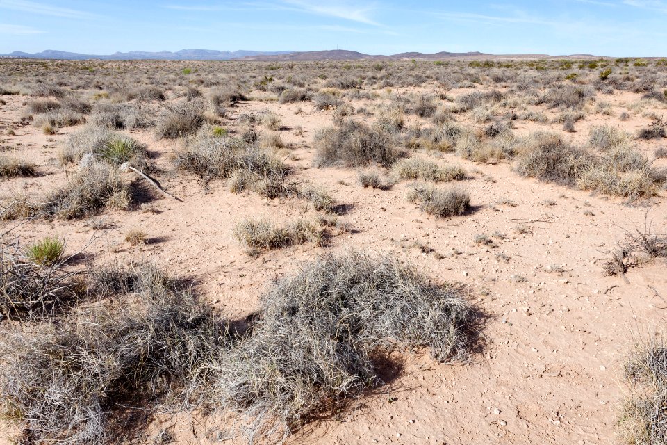 West of Rincon Arroyo