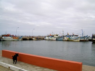 Sao Jose do Norte  Cais