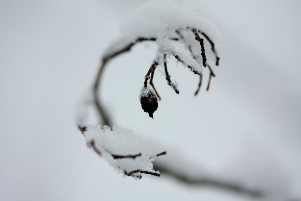 IMG 4224
