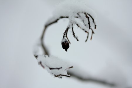 IMG 4224
