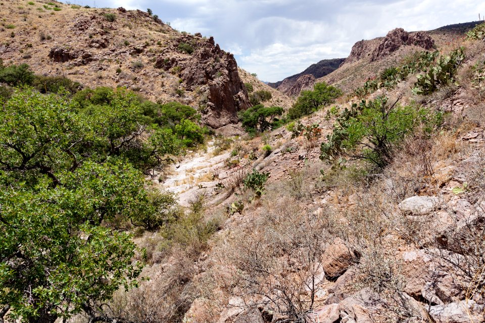Owl Canyon