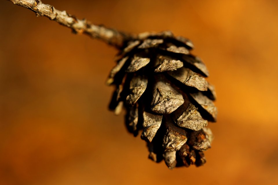 macro exercises