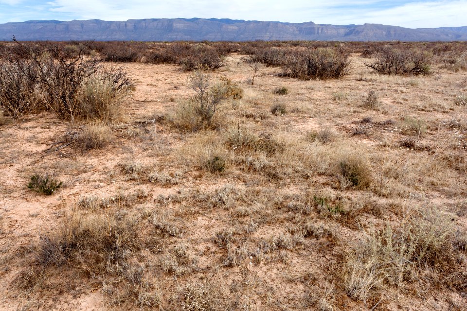 Southeast of Lone Butte