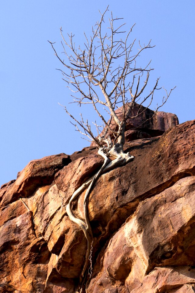 Than life artist nature drought