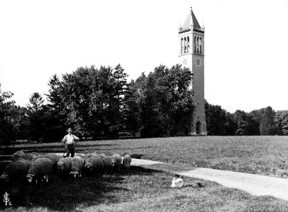 Campanile, Iowa State University, 1905 photo