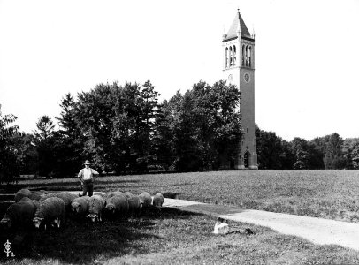 Campanile, Iowa State University, 1905