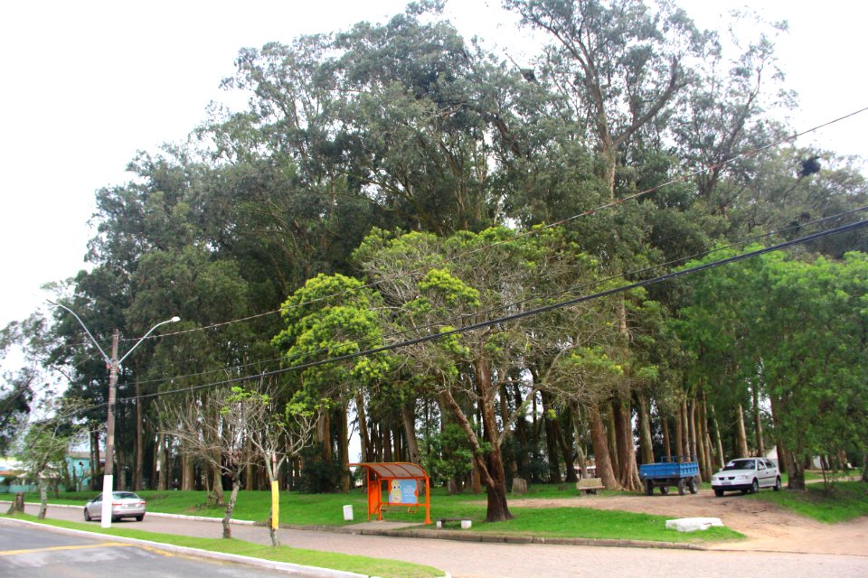 18.09.2018 - SQA - Reflorestamento Bosque Av José Maria da Fontoura - Foto Marcel Avila