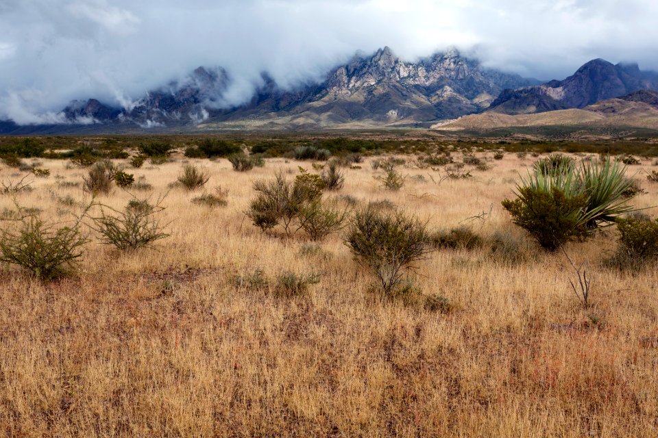 West bajada of the Organ Mountains