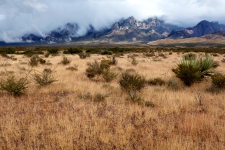 West bajada of the Organ Mountains