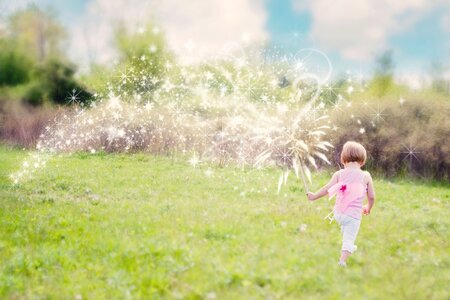 Enchanting summer fairy