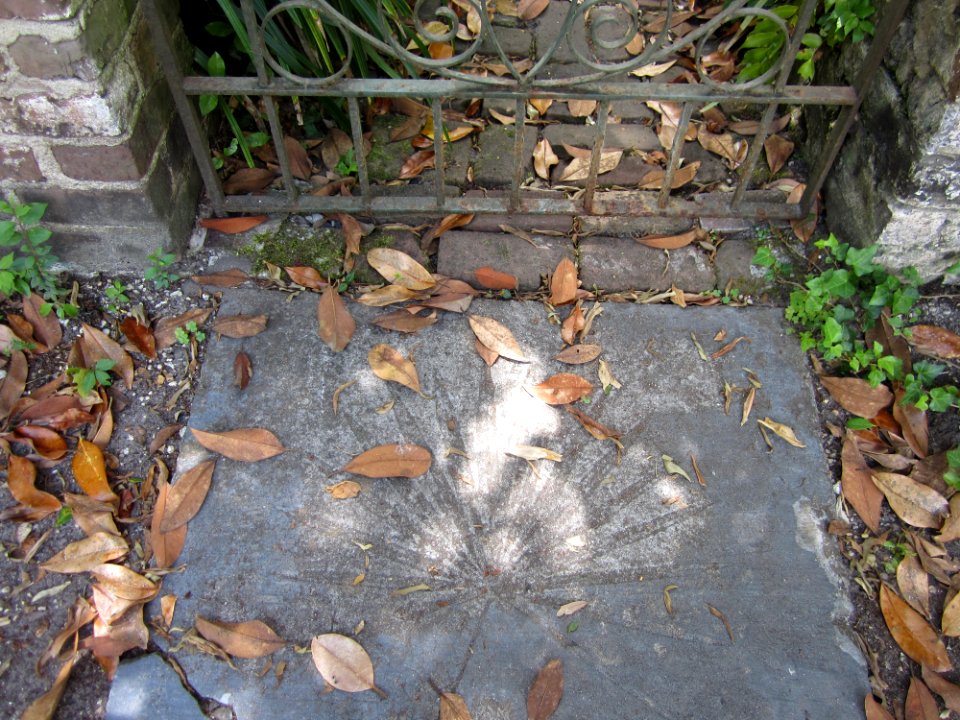 Stand on the palmetto leaf garden stone outside the garden gate