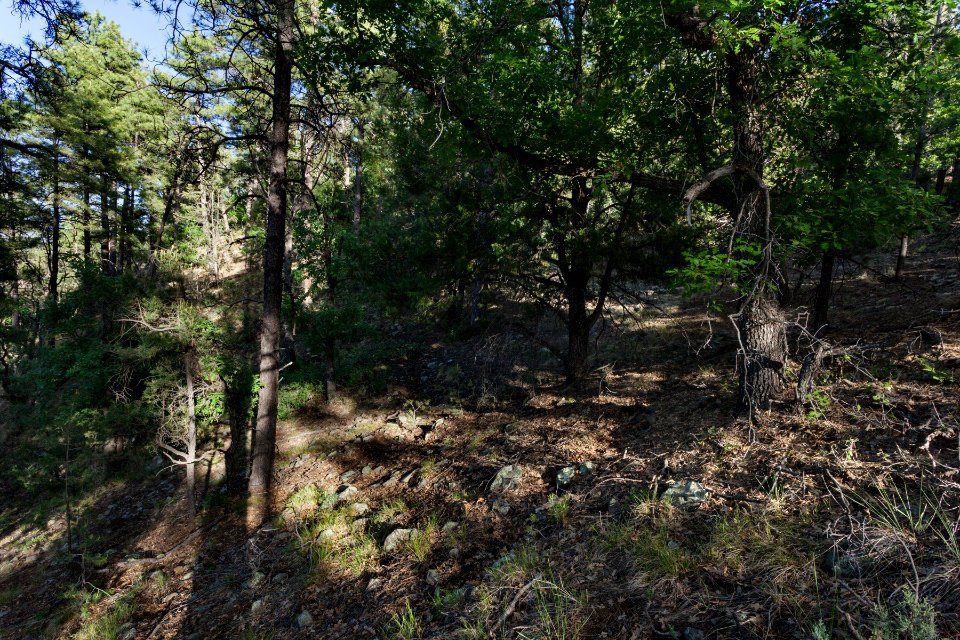 Pinos Altos Mountains