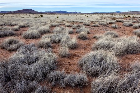 Southeast of Taylor Mountain