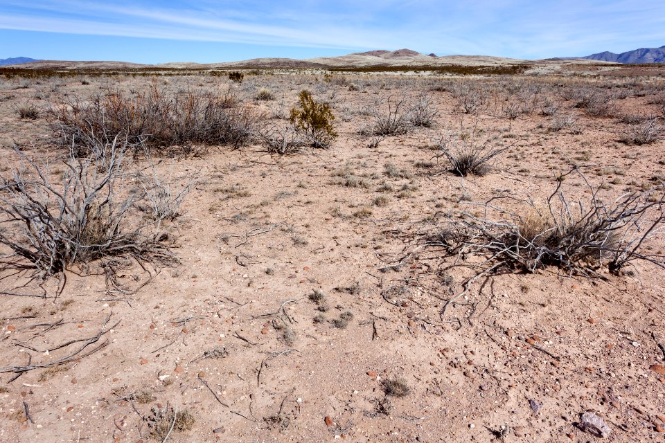 East-southeast of Taylor Mountain