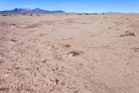 Near Mule Springs Creek