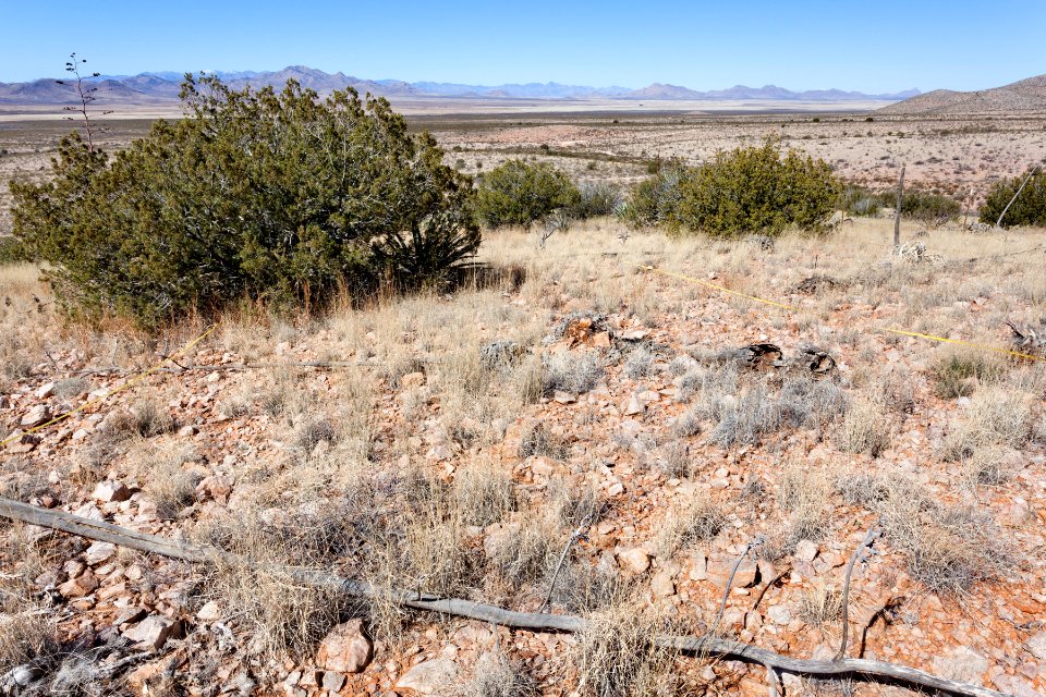 Northwestern foothills of the Animas Mountains