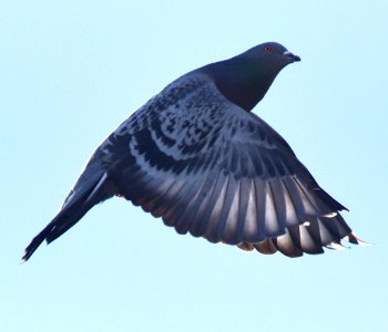 DSC 5847 v2