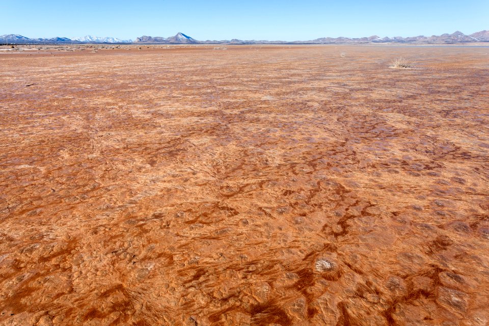 Lordsburg Playa