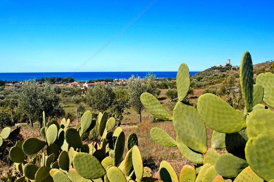 hera torre velia.jpg