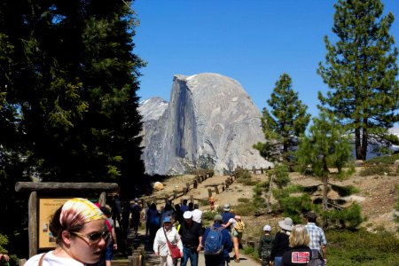 Yosemite Badger Pass