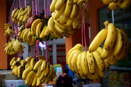 DSC 9929 bananas wholesale photo