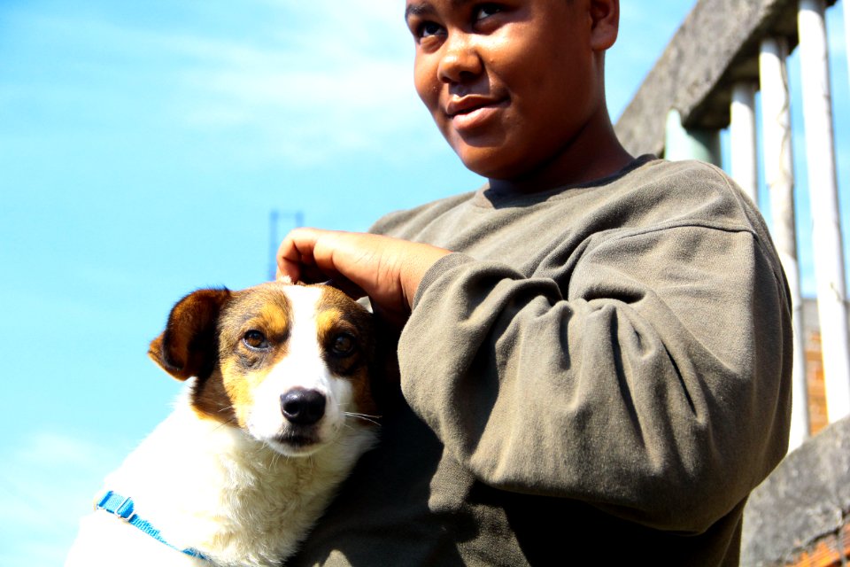 14.08.2018 - SMS - Doação de Cães - Fotos Marcel Avila