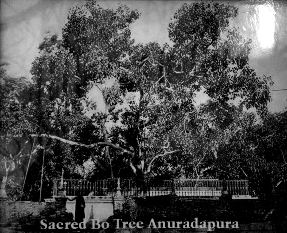Kandy Sri Lanka historic photo